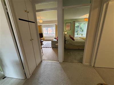 Picture 13